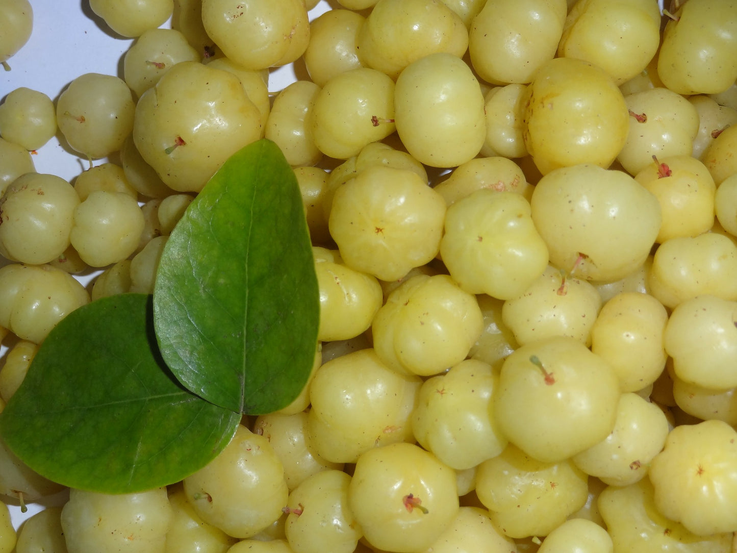 Amla Sweet 80gms